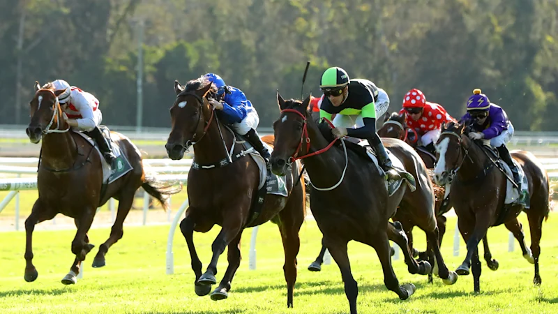 Doyle espère que Malabar pourra susciter plus de succès à Gosford