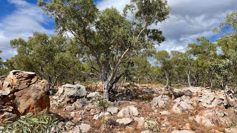 DevEx et Barkly cartographient les cibles d'uranium NT à l'échelle kilométrique