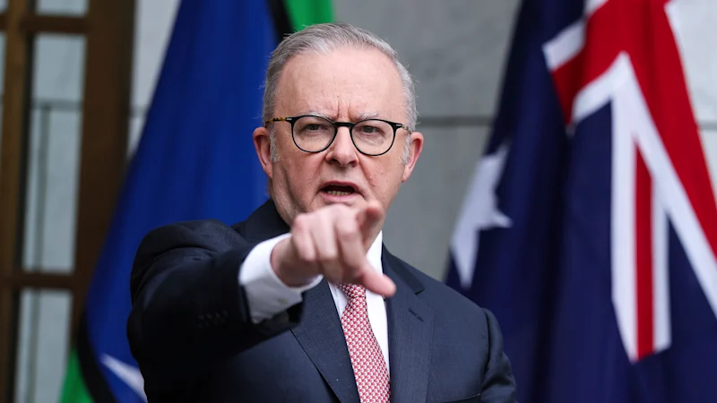 Albanese recommande de ne pas paniquer lors du lancement du groupe de travail