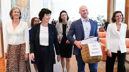 « Panier trop dur »… Les députés indépendants Nicolette Boele, Dai Le, Kate Chaney, Monique Ryan, David Pocock et Allegra Spender.