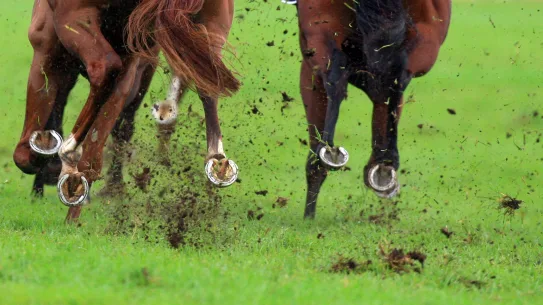 Le Racing revient lundi sur la piste de Beaumont à Newcastle.