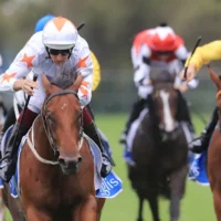 Le Victorian Racing Tribunal a déclaré l&rsquo;homme d&rsquo;affaires bahreïnien Nader Al AlaAli coupable d&rsquo;avoir fourni des preuves trompeuses. Il a fait appel de la décision