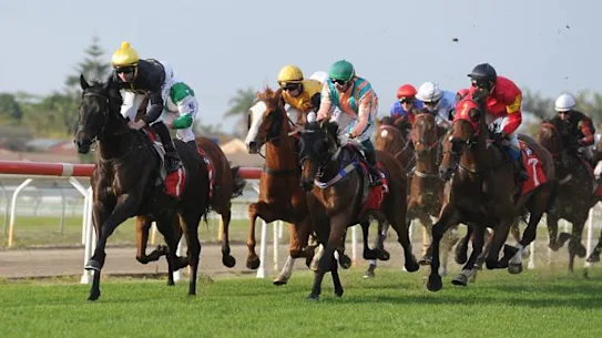 Les courses se dirigent vers Taree mardi.