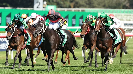 Randwick accueille mercredi une carte de huit courses sur la piste de Kensington.