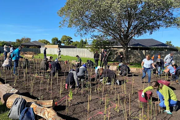 La petite forêt de la réserve de la rue Fraser à Glen Waverley le jour de la plantation communautaire en mai 2024.