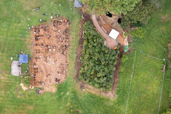 Des bénévoles plantent une petite forêt en décembre 2025 à Wyong Creek, sur la côte centrale.