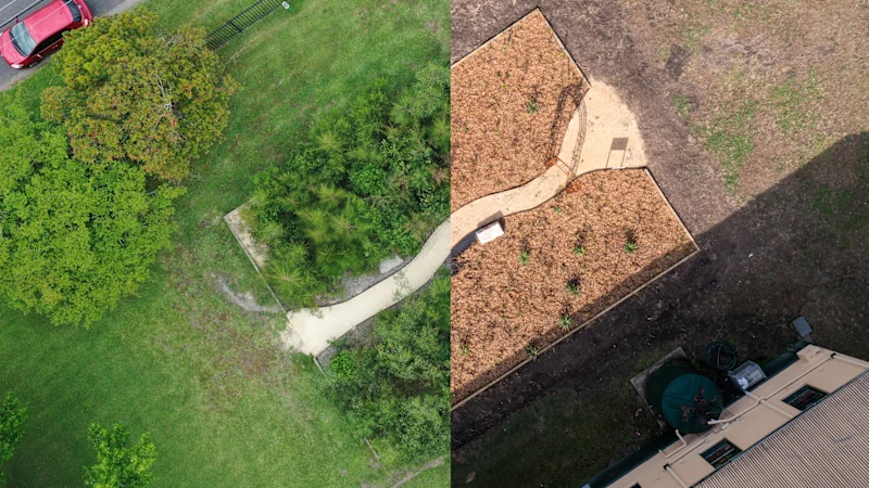 Le mouvement croissant pour planter des forêts denses dans les zones urbaines