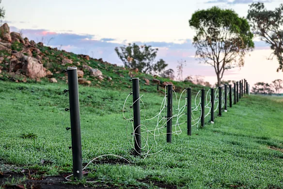 Les pousses vertes sont revenues au parc Lindsay, mais les clôtures endommagées par le feu doivent encore être réparées.