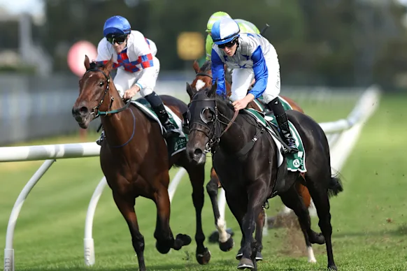 Belle Cheval remporte le Vignoble.