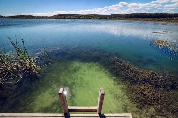 Une section de la zone Ramsar en question.
