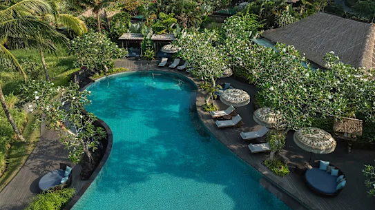 Mandapa, une réserve du Ritz-Carlton, garantit à la fois un sanctuaire et une vue imprenable.