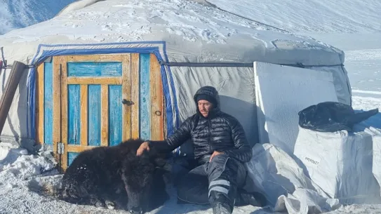 Le yak mourant devant la tente mongole des cinéastes, ou ger.