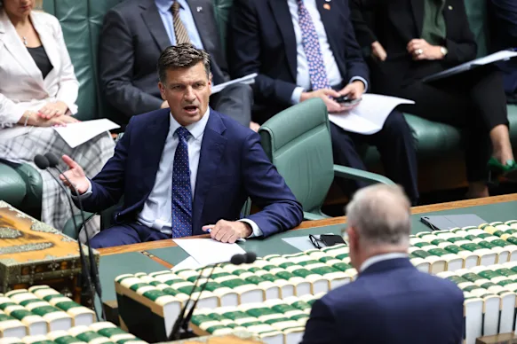 Le chef de l'opposition Angus Taylor et le Premier ministre Anthony Albanese à l'heure des questions mercredi.