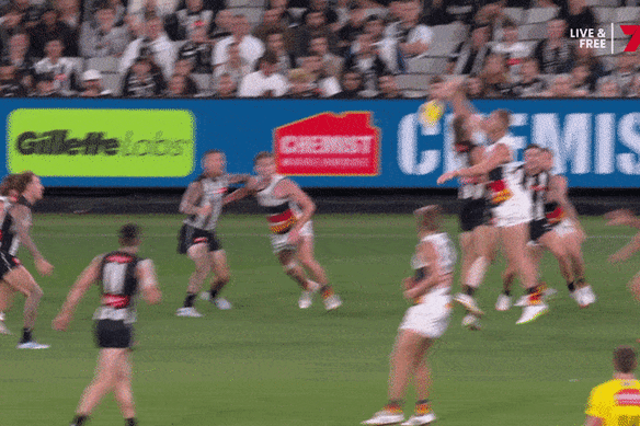 Scott Pendlebury s'est vu proposer une suspension d'un match.
