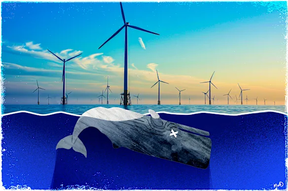 Un thème de désinformation courant est celui des éoliennes offshore qui nuisent aux baleines. 