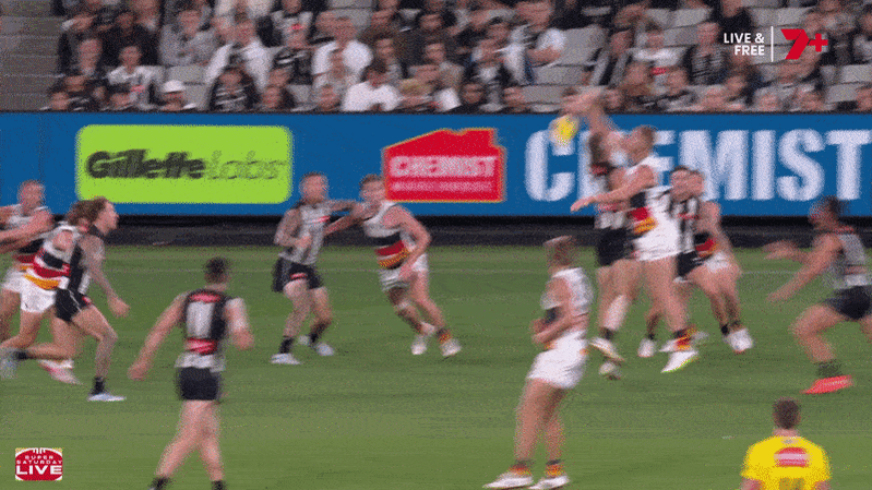 Interdiction des flics vétérans de Collingwood pour avoir frappé Josh Worrell d'Adélaïde