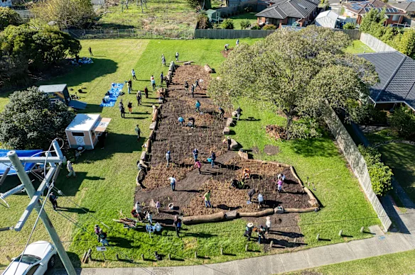 Le site de la petite forêt de la réserve de la rue Fraser, à Glen Waverley, a été choisi en raison de sa faible biodiversité et de ses vastes zones gazonnées inutilisées qui abritaient peu d'animaux sauvages. 