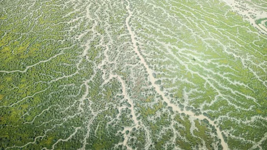 Inondations du lac Eyre/Kati Thanda vues du ciel en octobre.