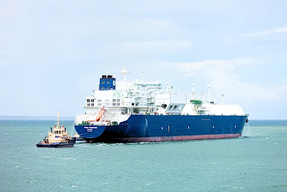 Terrible timing : alors que les prix mondiaux montent en flèche, Santos a dû suspendre les exportations de Darwin.