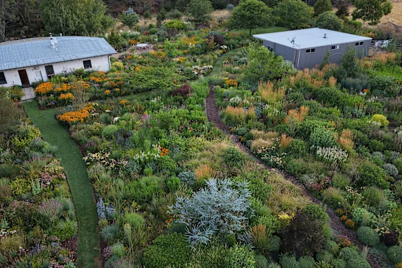 Ralph Bristow considère son jardin comme une communauté de plantes vivant côte à côte.
