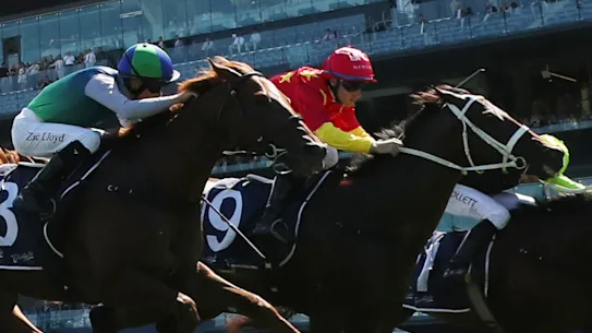 Campione D'italia (casquette rouge) remporte les Skyline Stakes à Randwick en février.