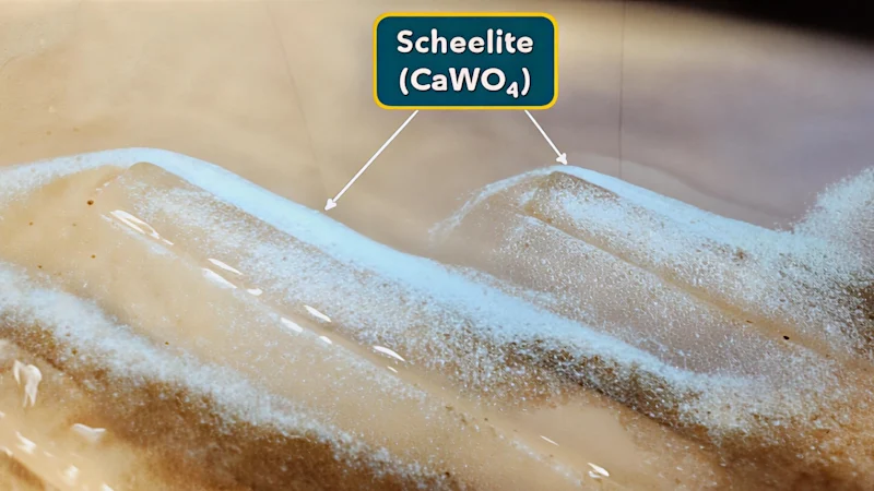 Viking accélère son projet de tungstène au Nevada avant le forage de juin