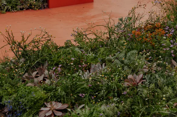 Le jardin comprend des centaines de plantes vivaces, annuelles, arbustes et plantes succulentes. 