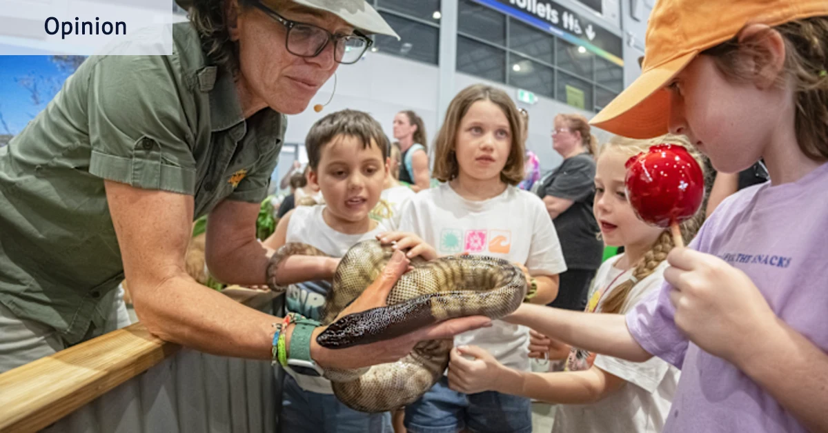 Un paradis pour les enfants de banlieue