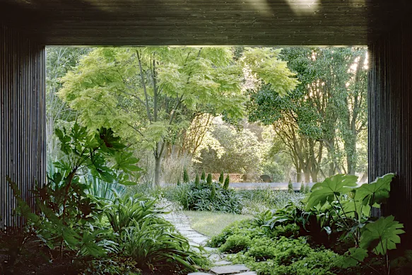 Son sous-sol spectaculaire et son jardin luxuriant semblent récessifs dans un jardin paysager conçu par Eckersley Garden Architecture.