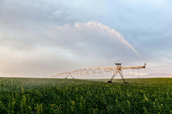 Amway s'appuie sur la traçabilité et le contrôle qualité comme point de différence.