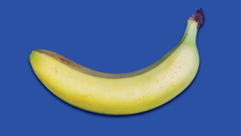 Les Fairbairn ; Séz; Abby Govindan ; Anisa Nandaula ; Casey Filips ; Pif; Connor Dariol