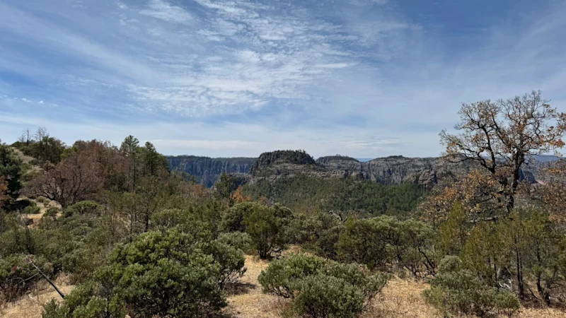 Advance Clocks montre une première ressource d'argent de 33Moz au Mexique