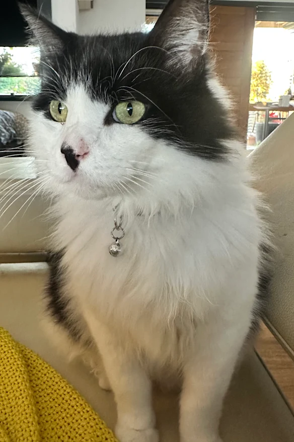 Sparkles s’installe.