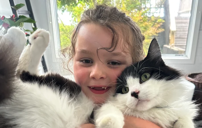 Pourquoi Donald Trump et tous ceux qui détestent les chats ont besoin de ragdoll Sparkles dans leur vie