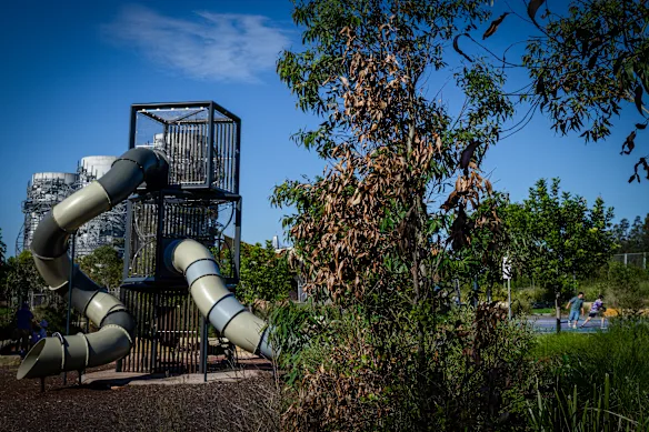 Les arbres commencent à mourir près de la passerelle piétonne Green Link Bridge à Annandale. 