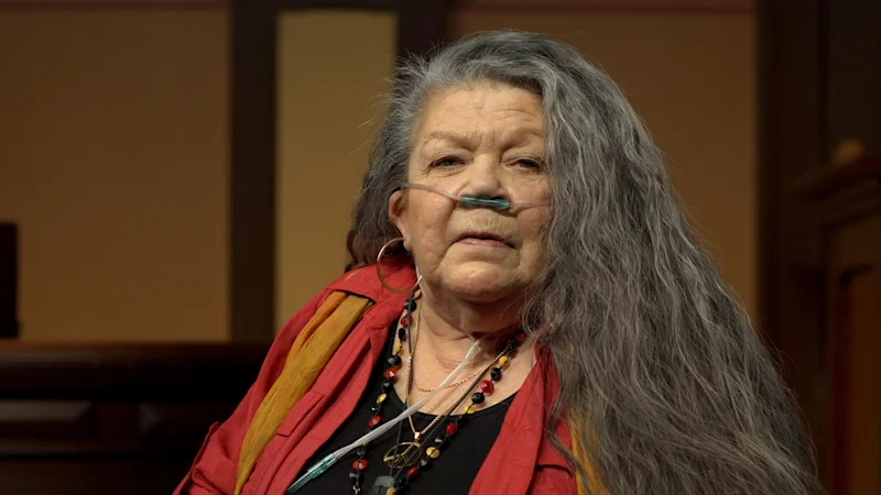 La mini-série ABC met la « vraie loi » sous les projecteurs à travers des affaires devant la Haute Cour