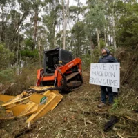 La forêt de gomme des neiges sera rasée au bulldozer pour les lignes de vue avant l&rsquo;Anzac Day