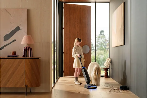 Un aspirateur eau et poussière : le rêve d'un propriétaire d'animal de compagnie ?