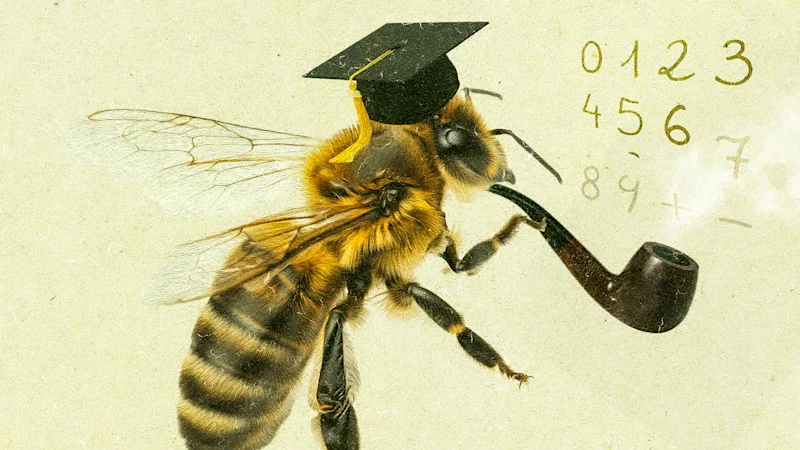 Des scientifiques découvrent que les abeilles ont une « cognition numérique »