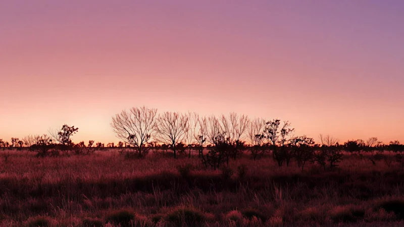 Litchfield remporte un riche coup d'argent alors que la campagne de forage NT se termine