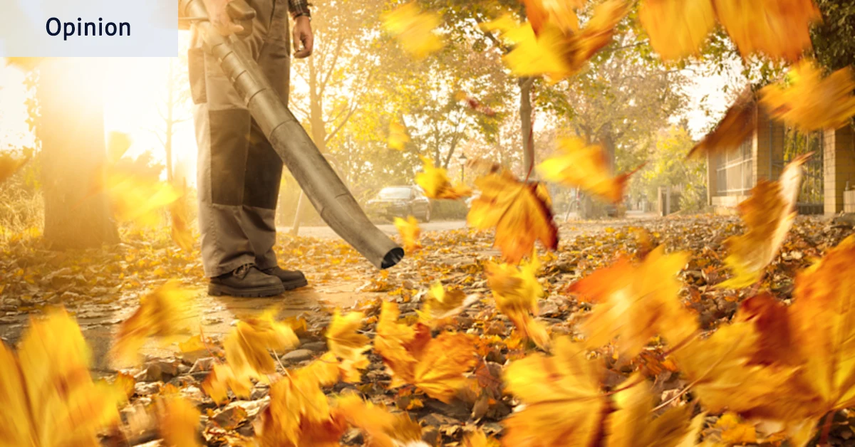 Les jet skis de banlieue sont plus populaires que jamais. Je ne peux pas croire que les souffleurs de feuilles soient autorisés à exister