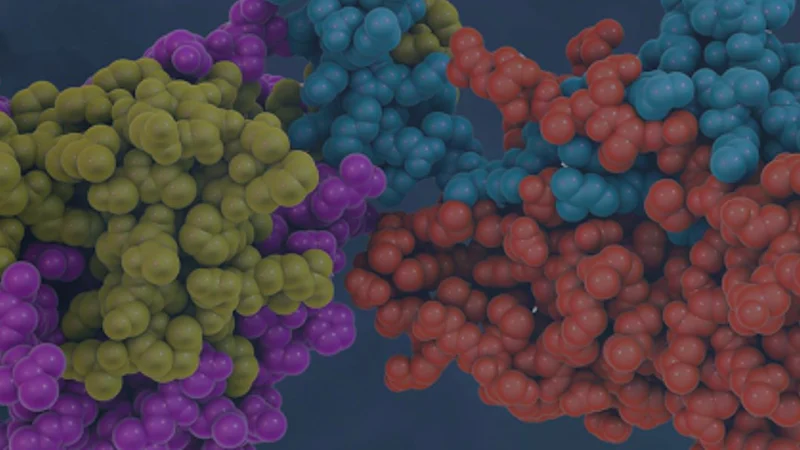 Les tests de diagnostic protéomique passent des blouses de laboratoire au lancement commercial