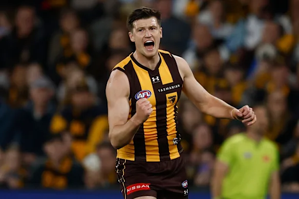 Mitch Lewis a beaucoup à offrir en tant qu'attaquant clé, mais fait face à une concurrence féroce pour sa place à Hawthorn.