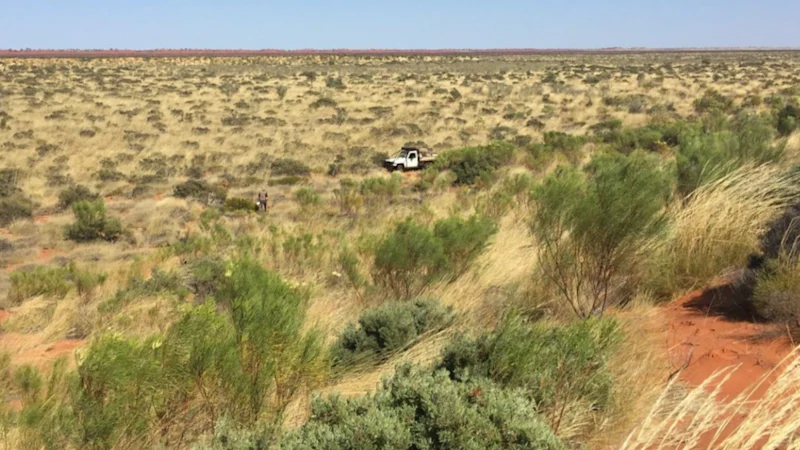 West Wits encaisse le projet aurifère de WA et continue de jouer à la hausse