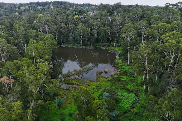 Melbourne Water installe un réseau de réservoirs d'eau de pluie connectés dans les cours de banlieue et les réserves publiques le long de Monbulk Creek pour aider les populations d'ornithorynques.