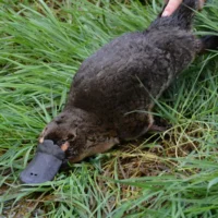 L&rsquo;initiative « intelligente » sur l&rsquo;eau vise à protéger les populations menacées