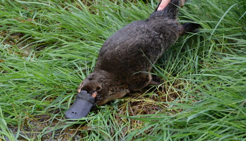 L'initiative « intelligente » sur l'eau vise à protéger les populations menacées