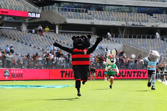 La mascotte des Perth Bears, Kodi, remporte une course contre Reggie the Rabbit de South Sydney et Reefy of the Cronulla Sharks au stade Optus.