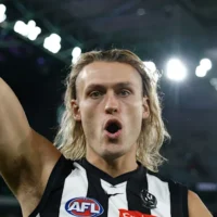 Pies de Collingwood contre faucons d&rsquo;aubépine