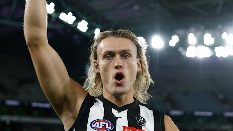 Pies de Collingwood contre faucons d'aubépine